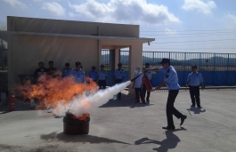 Hộ tống - Đưa đón bằng ôtô - Cho thuê xe ô tô tại Đà Nẵng đi Hội An và Huế